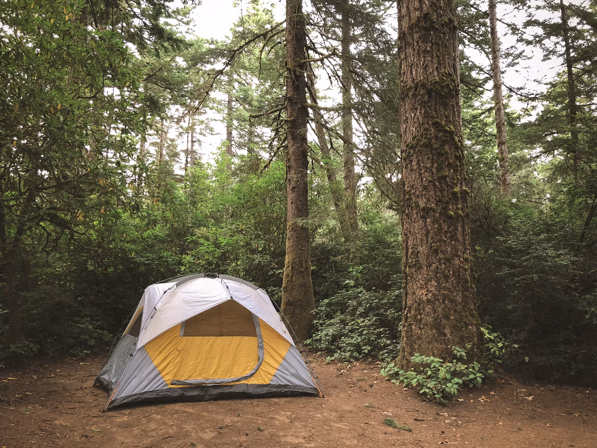 Exploring the Great Outdoors: A Beginner’s Guide to Camping