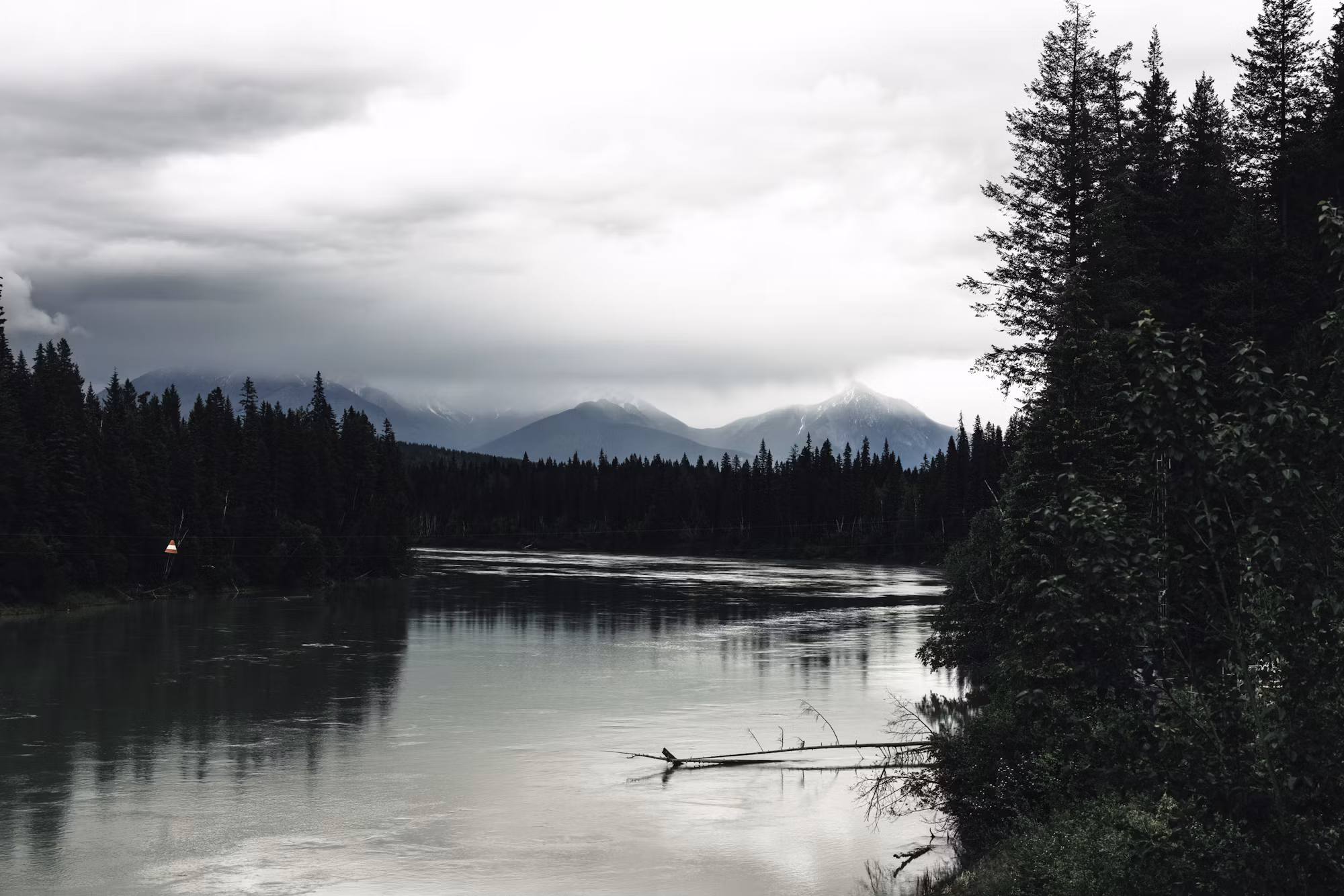 Hammock Camping: The Ultimate Guide to Relaxation in Nature
